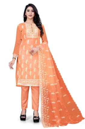 pêche salwar kameez avec organza brodé SK14769