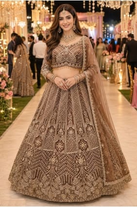 Lehenga Choli marron de fête avec tulle brodé LC9078