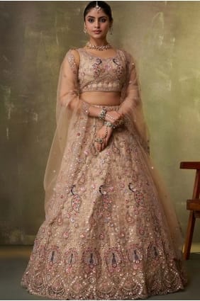 Lehenga Choli en filet brodé beige avec dupatta LC8859