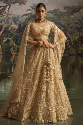 Lehenga choli en filet doux crème avec broderie élégante LC8691